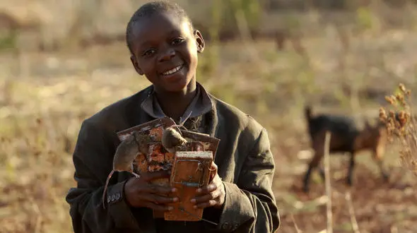 تصاویر شگفت انگیز  شکار موش ها توسط کودکان زیمباوه ای +تصاویر