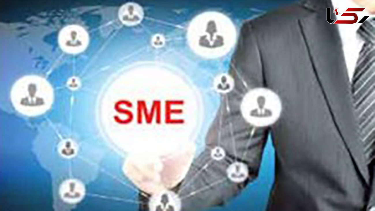  جهان اقتصاد در سیطره SMEها