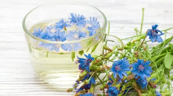 آیا می‌دانید کدام گیاه برای پاکسازی کبد مفید است؟