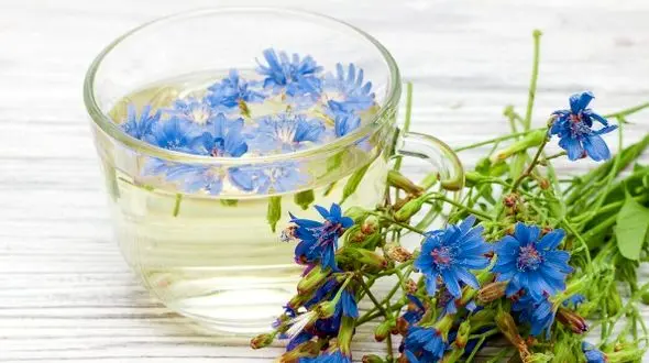 آیا می‌دانید کدام گیاه برای پاکسازی کبد مفید است؟