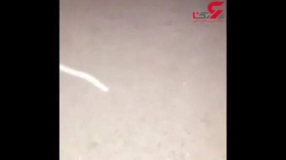 فیلم موجود عجیبی که در سیلاب خوزستان کشف شد