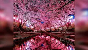 فال ابجد 25 فروردین 1405