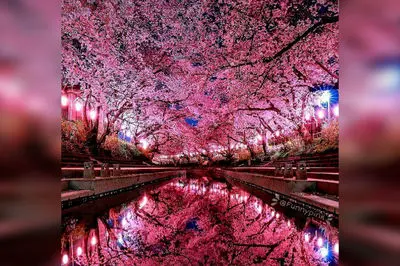 فال ابجد 25 فروردین 1405