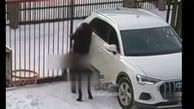 ببینید/ لحظه تلخ گیر کردن دختر جوان بین در فلزی به خاطر بازیگوشی بی‌موقع سگ در برف! + فیلم