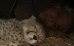 نمایش نخ نما فراکسیون محیط زیست مجلس بعد از تلف شدن پیروز /مقصر اصلی به دنبال پیدا کردن متهم و سرزنش است
