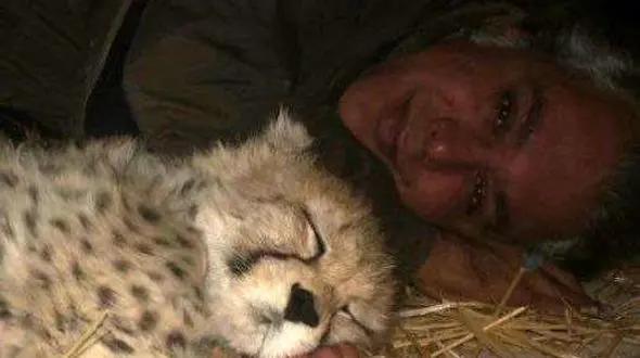 نمایش نخ نما فراکسیون محیط زیست مجلس بعد از تلف شدن پیروز /مقصر اصلی به دنبال پیدا کردن متهم و سرزنش است
