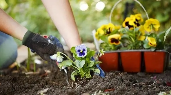 ترفندهای دور کردن انرژی منفی از خانه