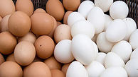 کشف 4 تن تخم مرغ قاچاق از یک کامیون در سرخه