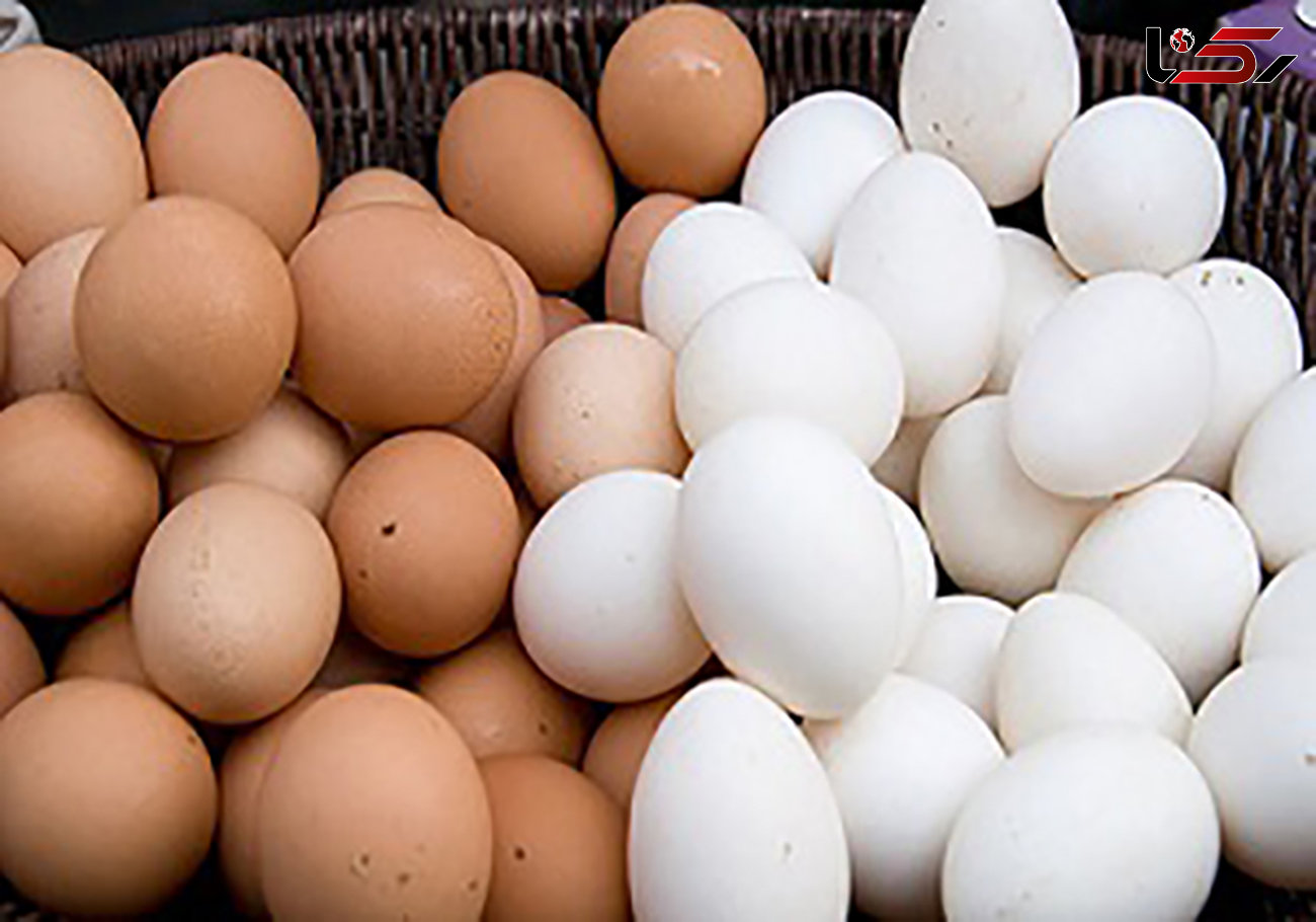 کشف تخم مرغ های غیراستاندارد در همدان 