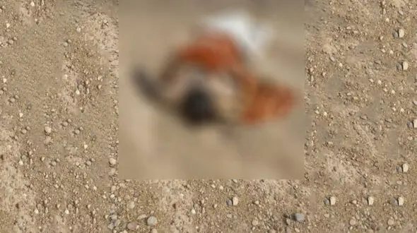 عکس جنازه مرد ناشناس که در دشت عباس رها شده بود / 3 روز از قتل گذشته بود