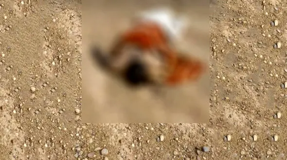 عکس جنازه مرد ناشناس که در دشت عباس رها شده بود / 3 روز از قتل گذشته بود