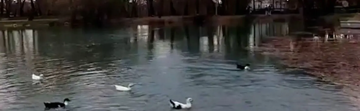 فیلم طاق بستان با چشمه جوشان دوباره زنده شد