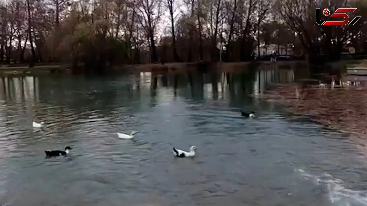 فیلم طاق بستان با چشمه جوشان دوباره زنده شد