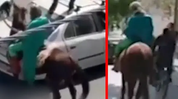 فیلم اسب سواری امام زمان قلابی در خیابان های اصفهان / او با شمشیر دولبه به مردم حمله کرد