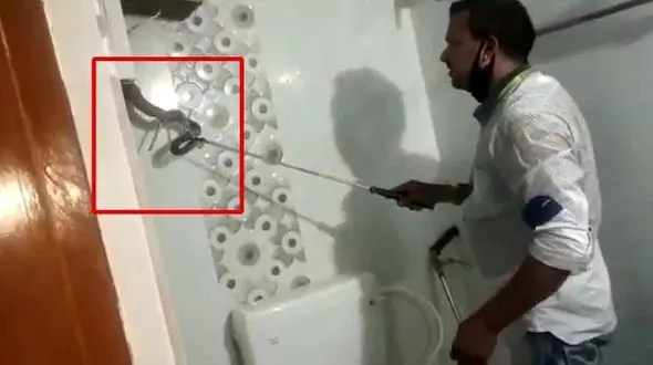 پنهان شدن مار سمی در کمد دیواری دستشویی! + فیلم