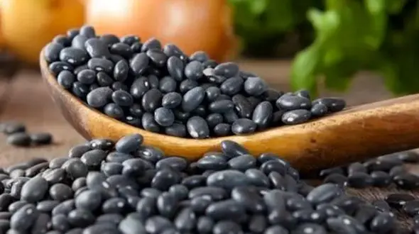 لوبیای سیاه و نخود: تغذیه‌ای سالم برای کاهش خطر بیماری‌های مزمن