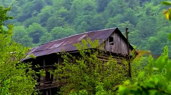 فیلم طبیعت سرسبز روستای خریون بندپی شرقی