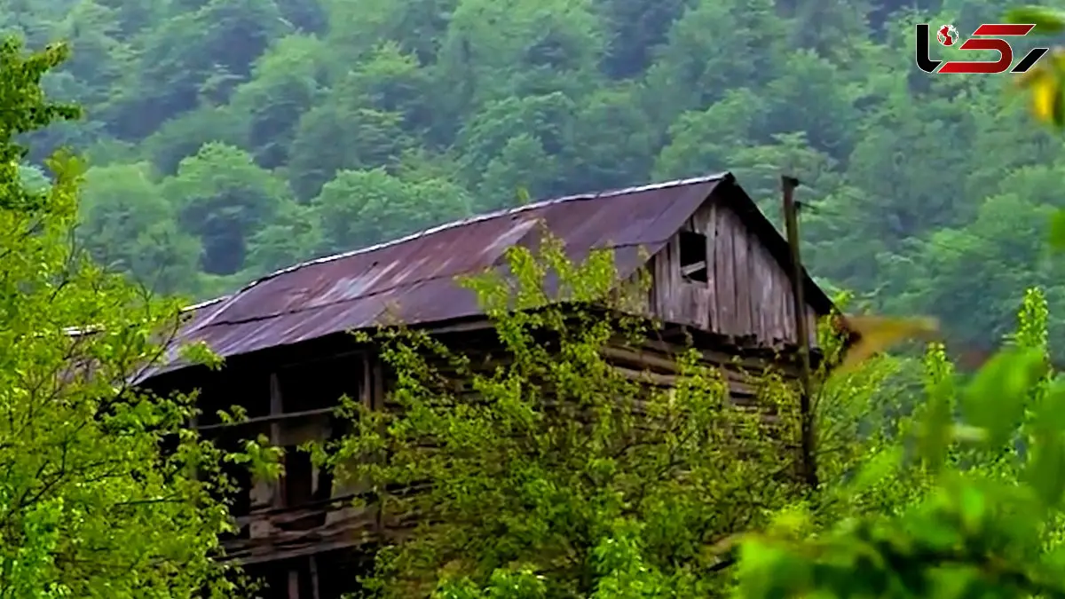 فیلم طبیعت سرسبز روستای خریون بندپی شرقی