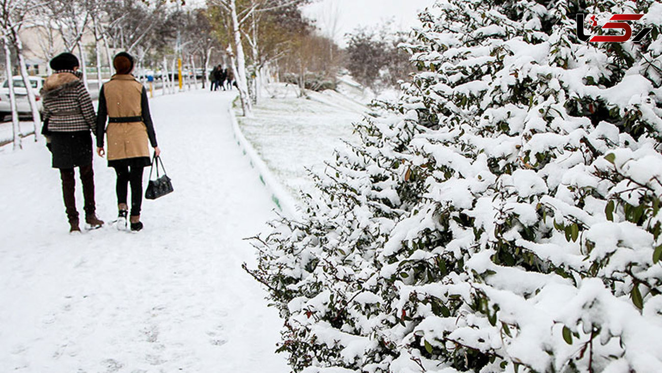 برف اردبیل را سپید پوش کرد+عکس