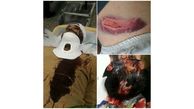 روحانی کرجی از 3 دختر و 6 پسر کتک خورد ! / آنها دیشب با قمه  حمله کردند !+ عکس های دلخراش