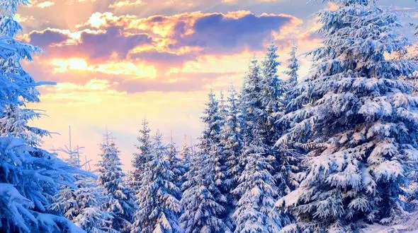 راه درست همیشه سخت است / اما تنها راهی‌ست که تو را خودت می‌کند