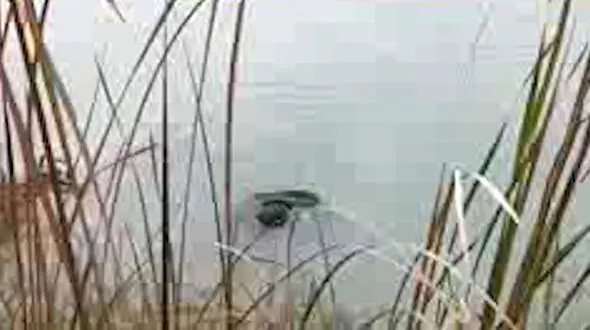 فیلم لحظه کشف جسد یک مرد در کانال آب هفت‌ تپه + عکس