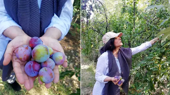 عکس متفاوت ساره بیات در حال باغبانی 