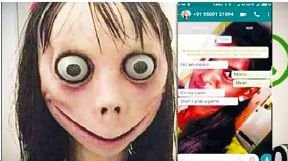 جولان مومو در جنوب ایران / ترسیدید چه کنید!