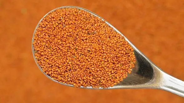 دشمن سنگ کلیه چیست؟