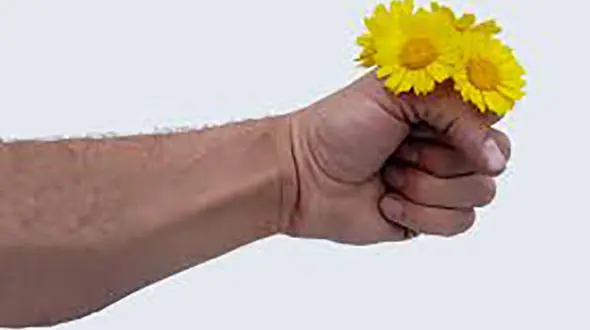 پشت پرده چپ دست شدن یک انسان!+ عکس