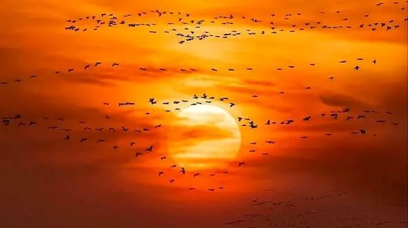 فال امروز 5 اردیبهشت 1405