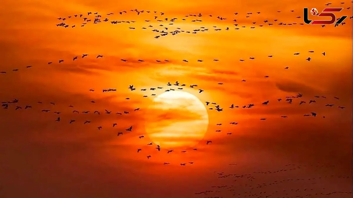 فال امروز 5 اردیبهشت 1405