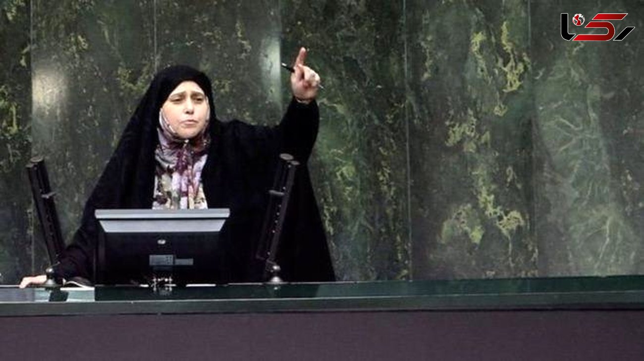 نماینده مردم تهران: فردی که در مجلس زنانه به خانم ها توهین کرد ، در حاشیه امن دارد
