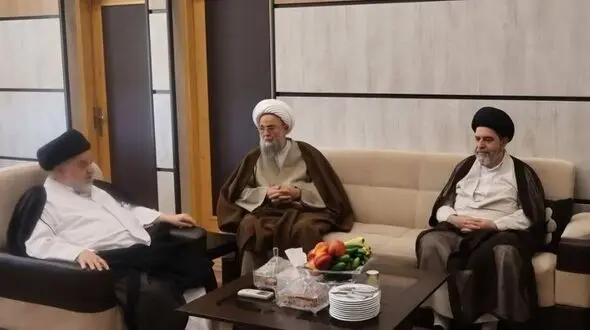 نماینده آیت الله سیستانی: هشدار درباره مهاجرت نخبگان و پیامدهای آن