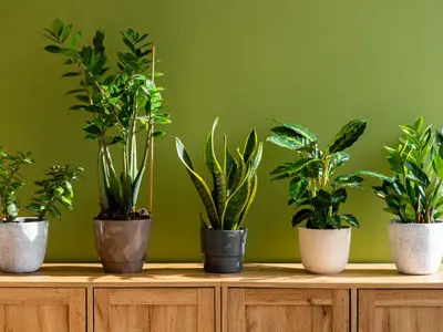 چگونه هوای خانه را در زمان آلودگی هوا تمیز نگه داریم؟ 9 راهکار موثر