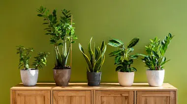 چگونه هوای خانه را در زمان آلودگی هوا تمیز نگه داریم؟ 9 راهکار موثر