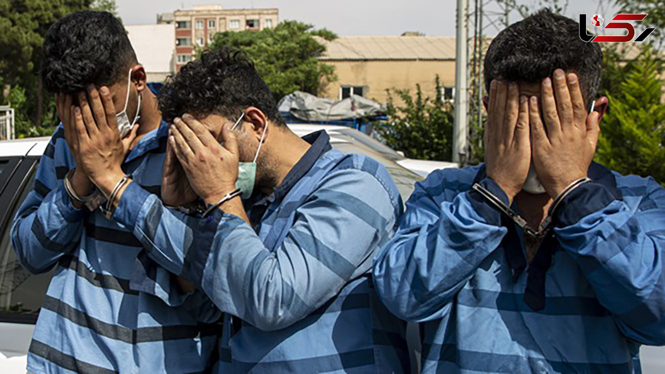  دستگیری 16 سارق در تویسرکان 