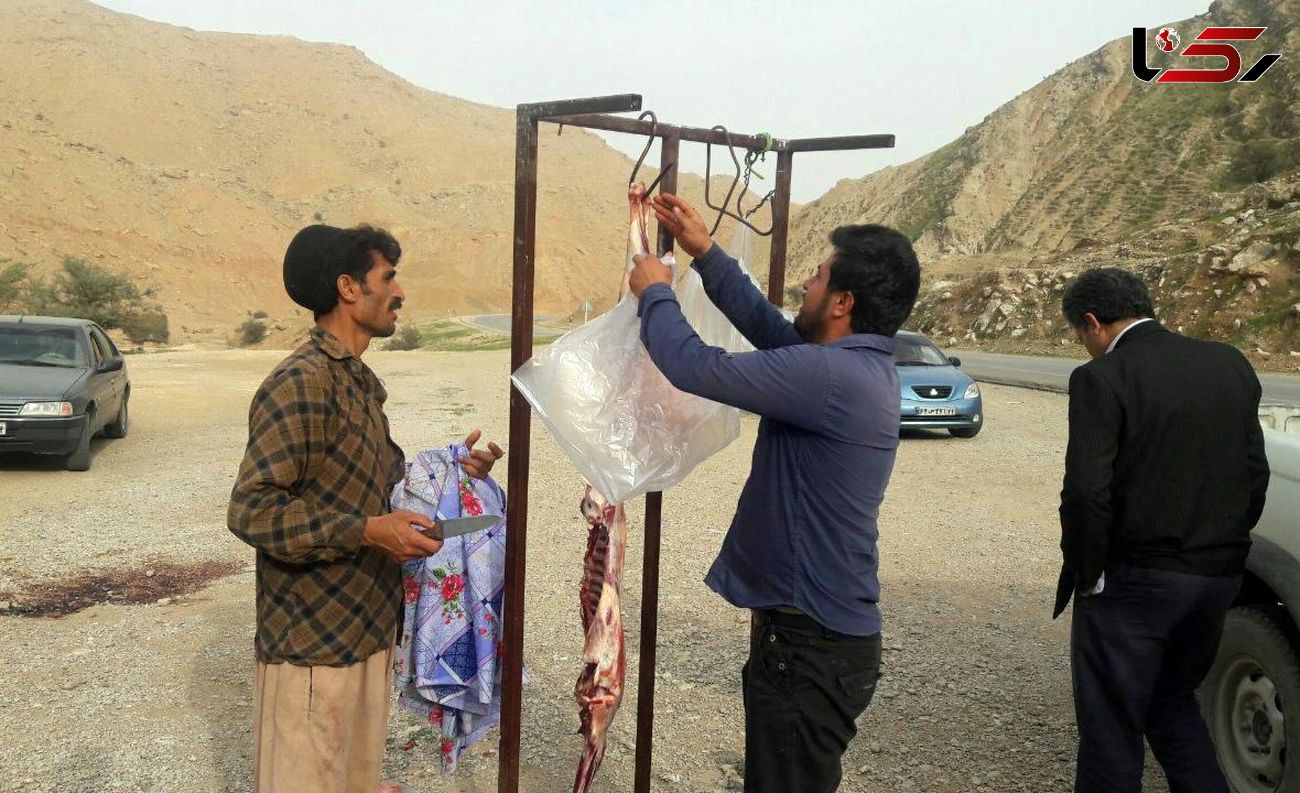 برخوردها با کشتار غیرمجاز دام کار ساز نیست/ عملکرد داریم اما نتیجه خیر!