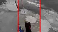 فیلم نجات عقاب سرسفید زخمی از یخ های رودخانه