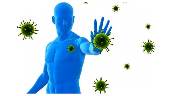 پادزهر کرونا / بخندید و بدون استرس تغذیه مغذی داشته باشید 