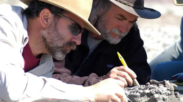 کشف فسیل ۲۳۰ میلیون ساله یک سنجاب / ایده سنجاب انیمیشن عصر یخبندان از کجا آمد؟