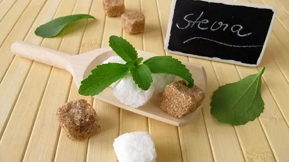 دیابتی ها این گیاه معجزه آسا را جایگزین قند کنند