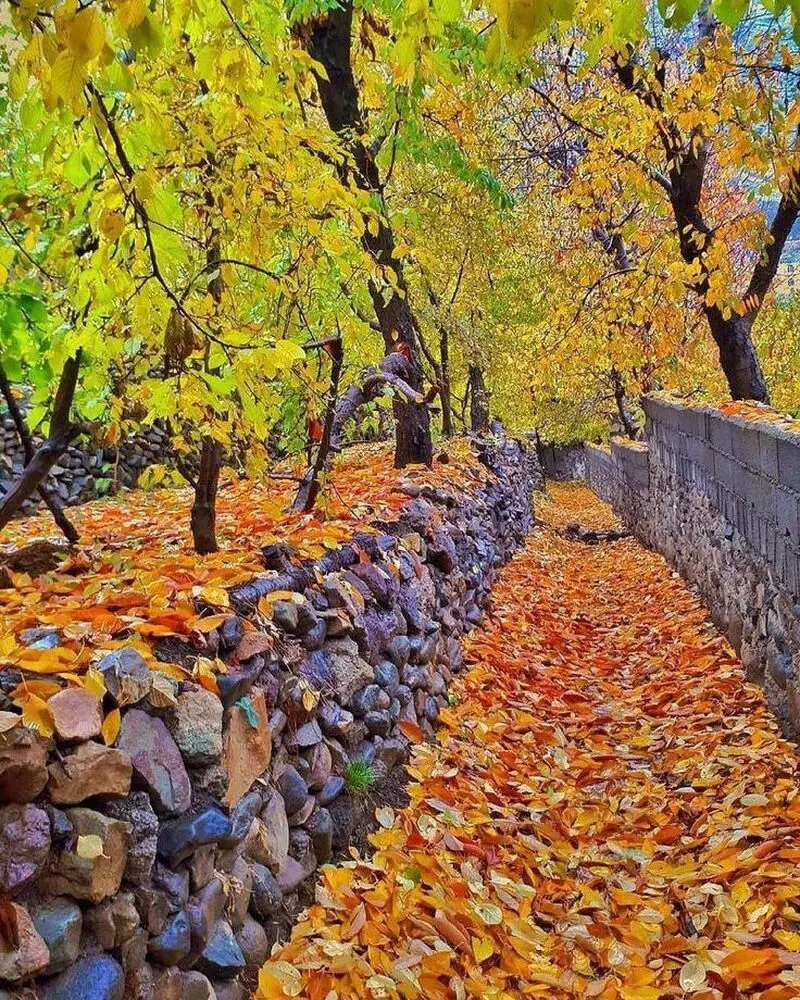 معرفی روستاهای پاییزی در سراسر ایران / فیلم و عکس