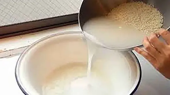 آب برنج دوست پوست و موی شماست 
