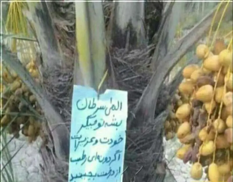 تصویر