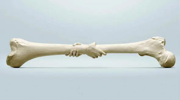 ۴ زنگ خطر پوکی استخوان 