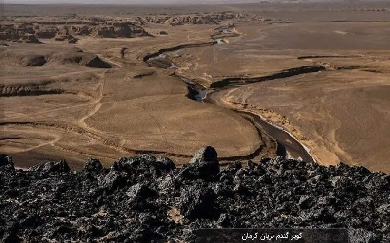 کویر گندم بریان