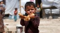 ایران، در جایگاه هفتم لیست بحران غذایی جهان /مهاجران برای مواد غذایی ما سربار هستند / طرح های تخصصی در کمد نهادها خاک می خورند