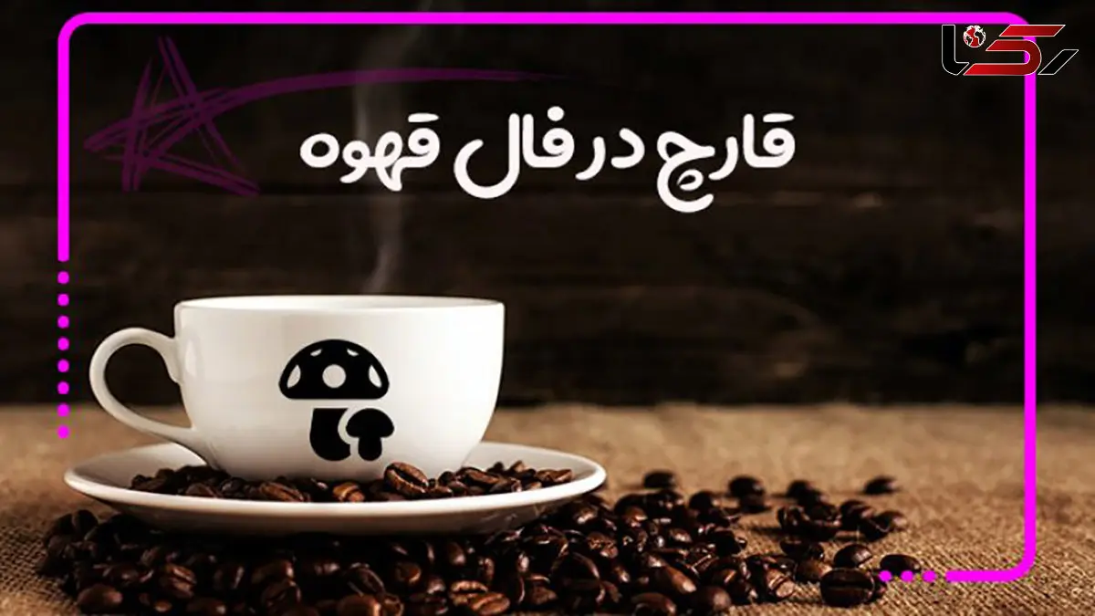 تعبیر قارچ در فال قهوه چیست؟