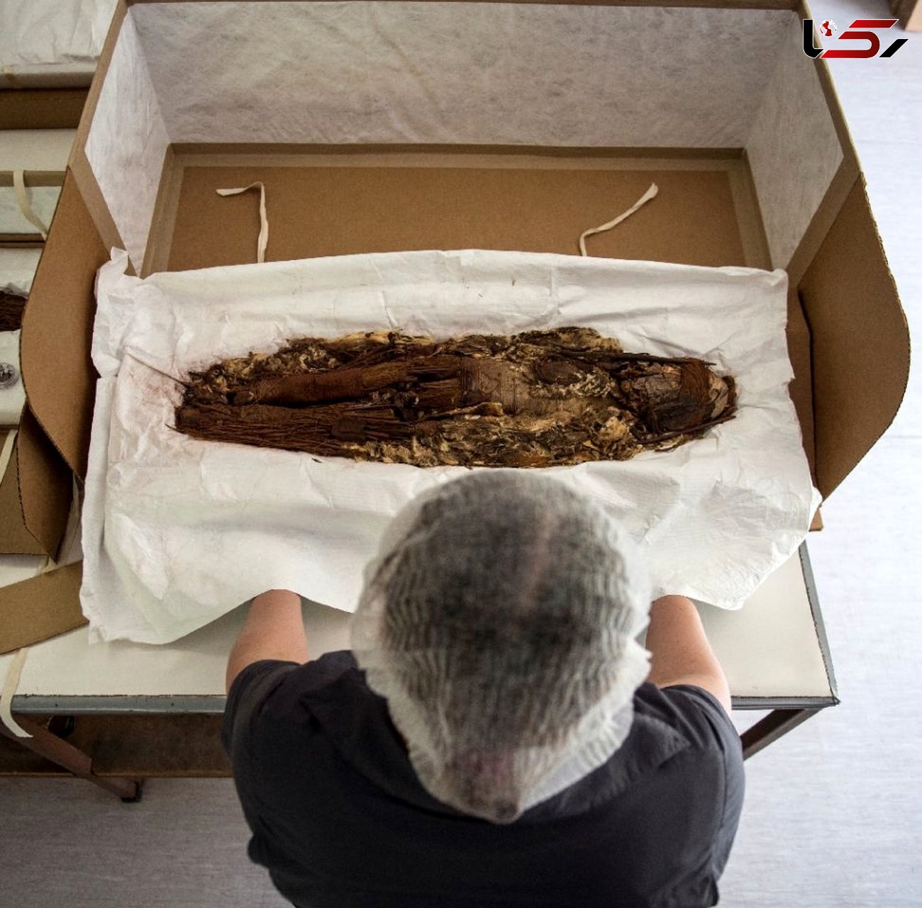 اسرار 7 هزار ساله قدیمی ترین مومیایی جهان +عکس